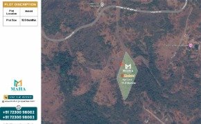 Mahaproperties_Map View_Mulshi 11.5 Guntha-cropped.jpg